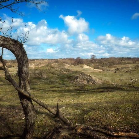 Hogezoom 131 Βίλα Renesse Εξωτερικό φωτογραφία