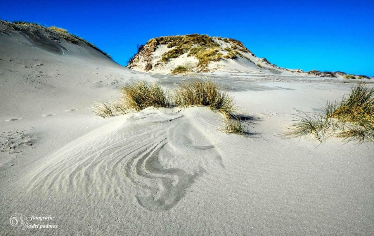 Hogezoom 131 Βίλα Renesse Εξωτερικό φωτογραφία